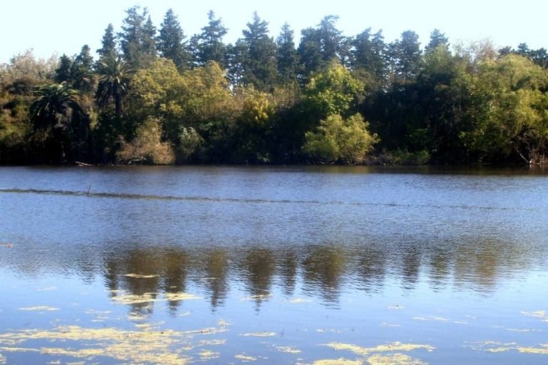Presentan el 16 de abril un proyecto extensión sobre el impacto ambiental en la Reserva Natural de Alberdi