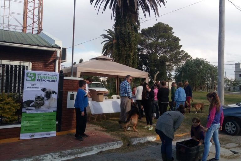 Nueva jornada de esterilización de mascotas